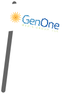 GenMedia Group Logo on flag