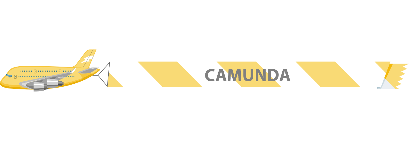 Plane displaying Camunda